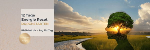 12 Tage Energie Reset Header 600 x 200
